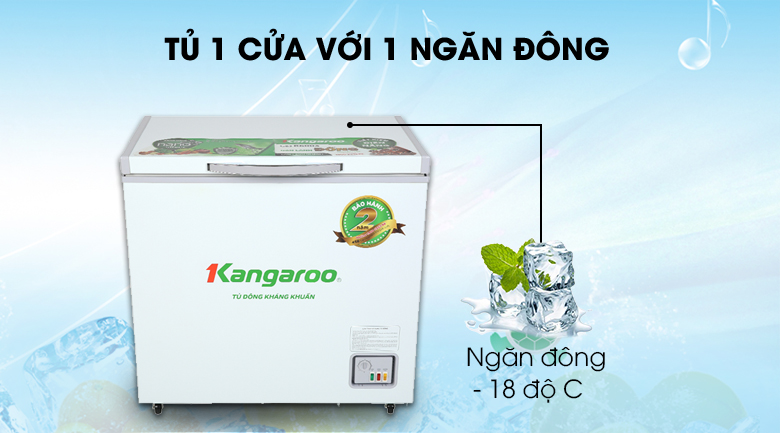 Tủ đông Kangaroo 140 lít KG 265NC1 - Số ngăn